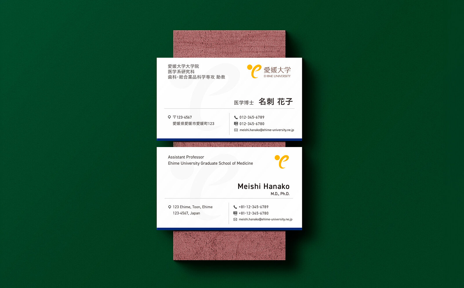 愛媛大学教授様 名刺