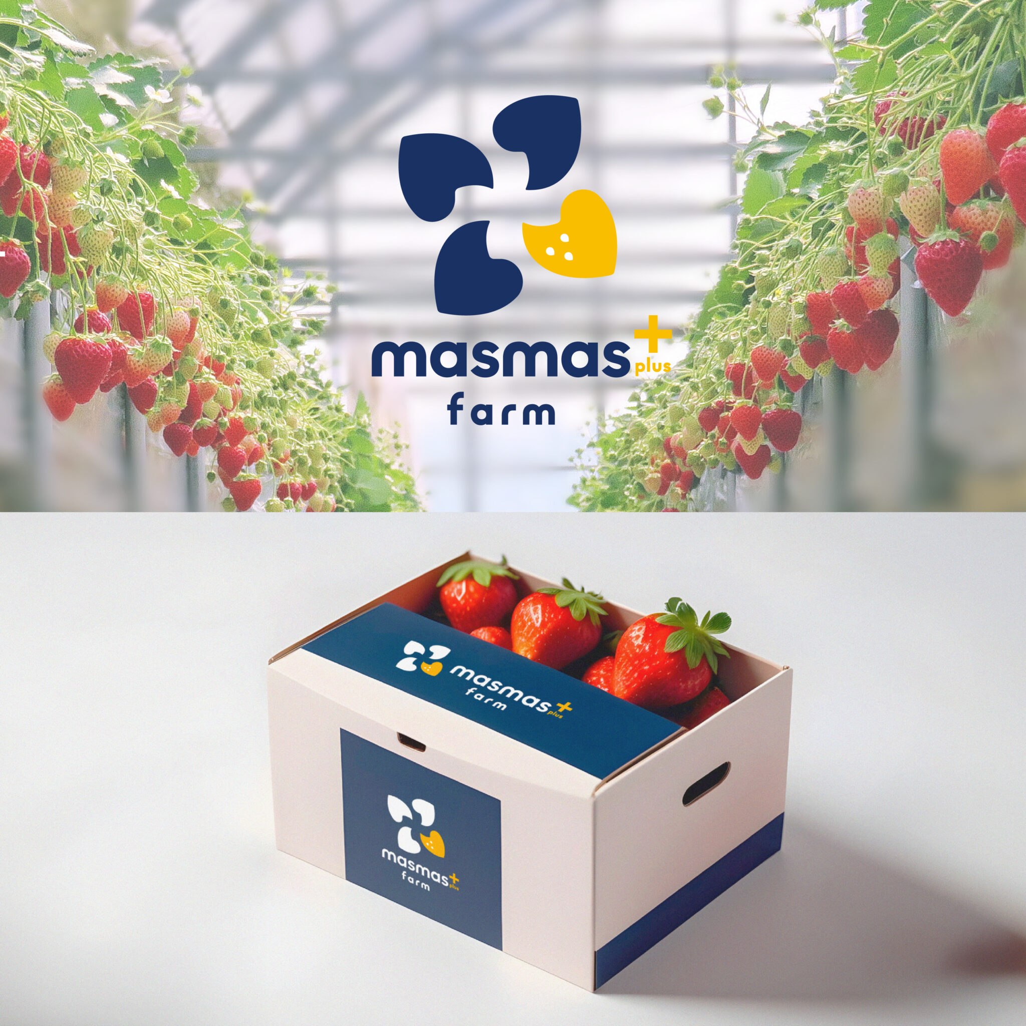 masmasplus+farm様 ロゴデザイン