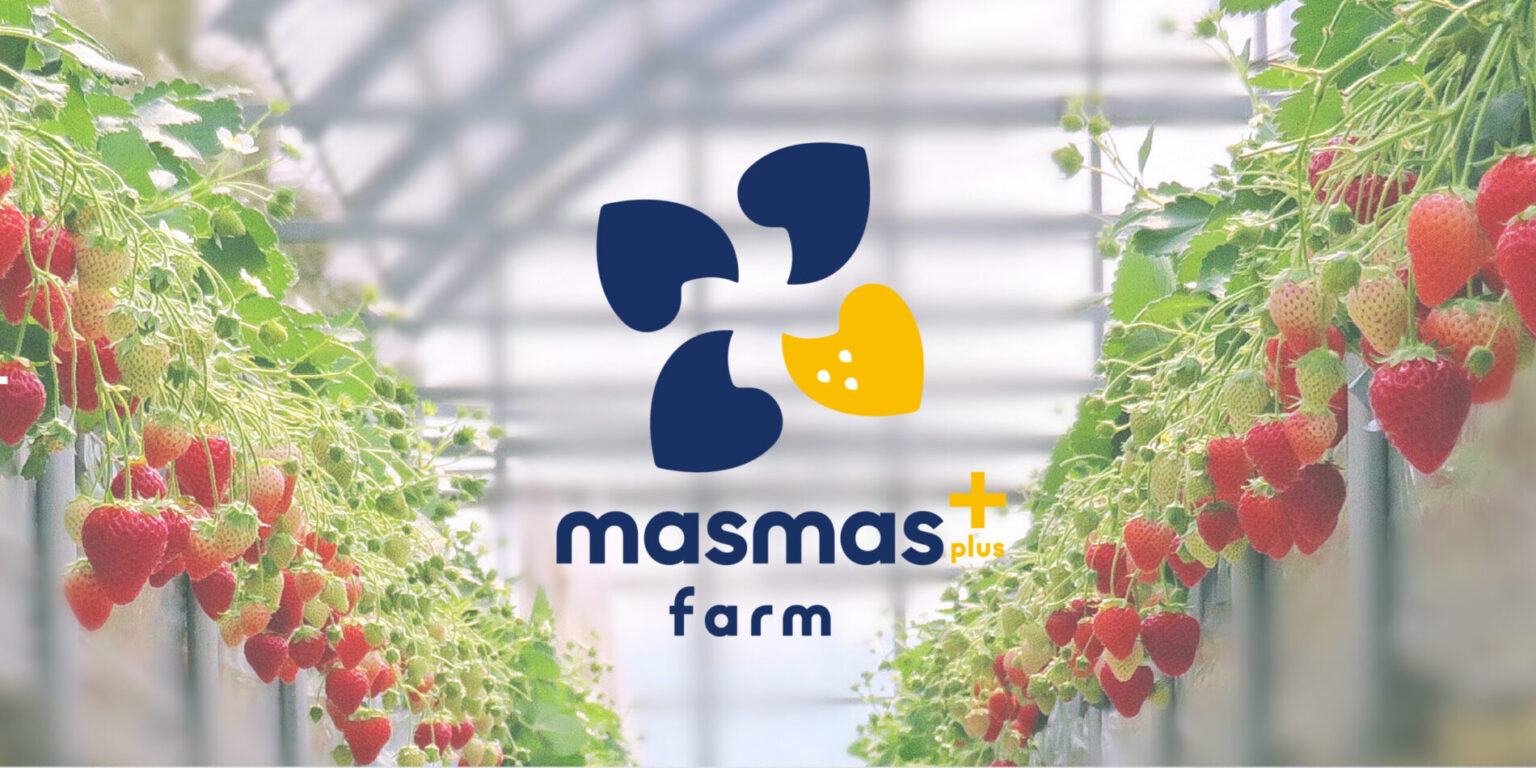 masmasplus+farm様 ロゴデザイン