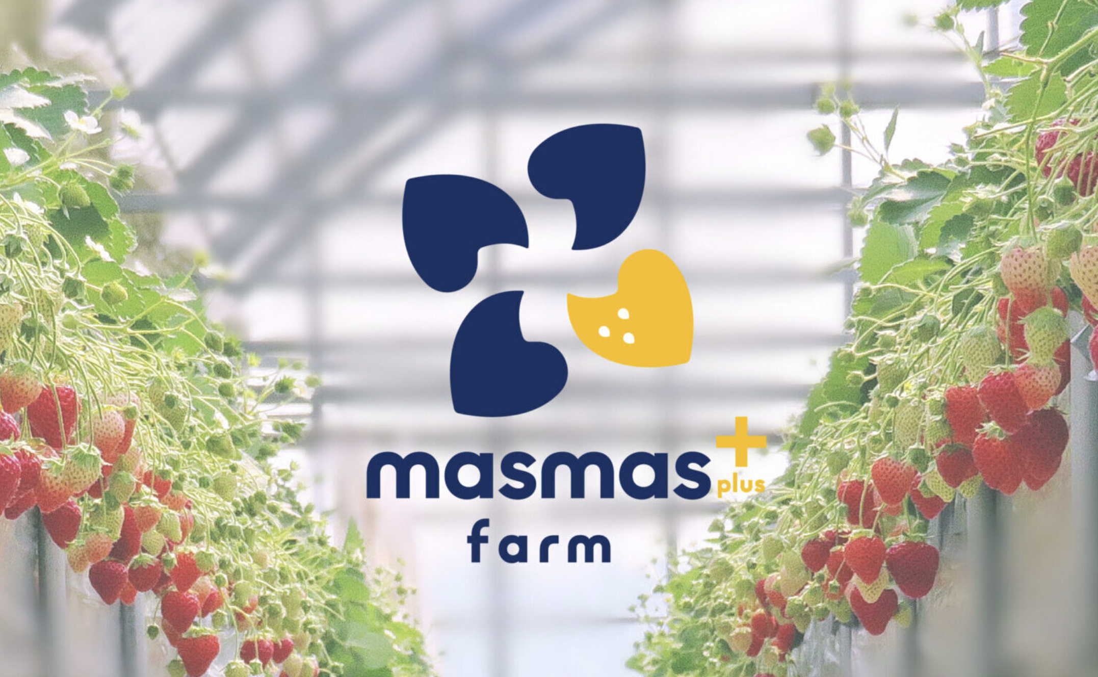 masmasplus+farm様 ロゴデザイン